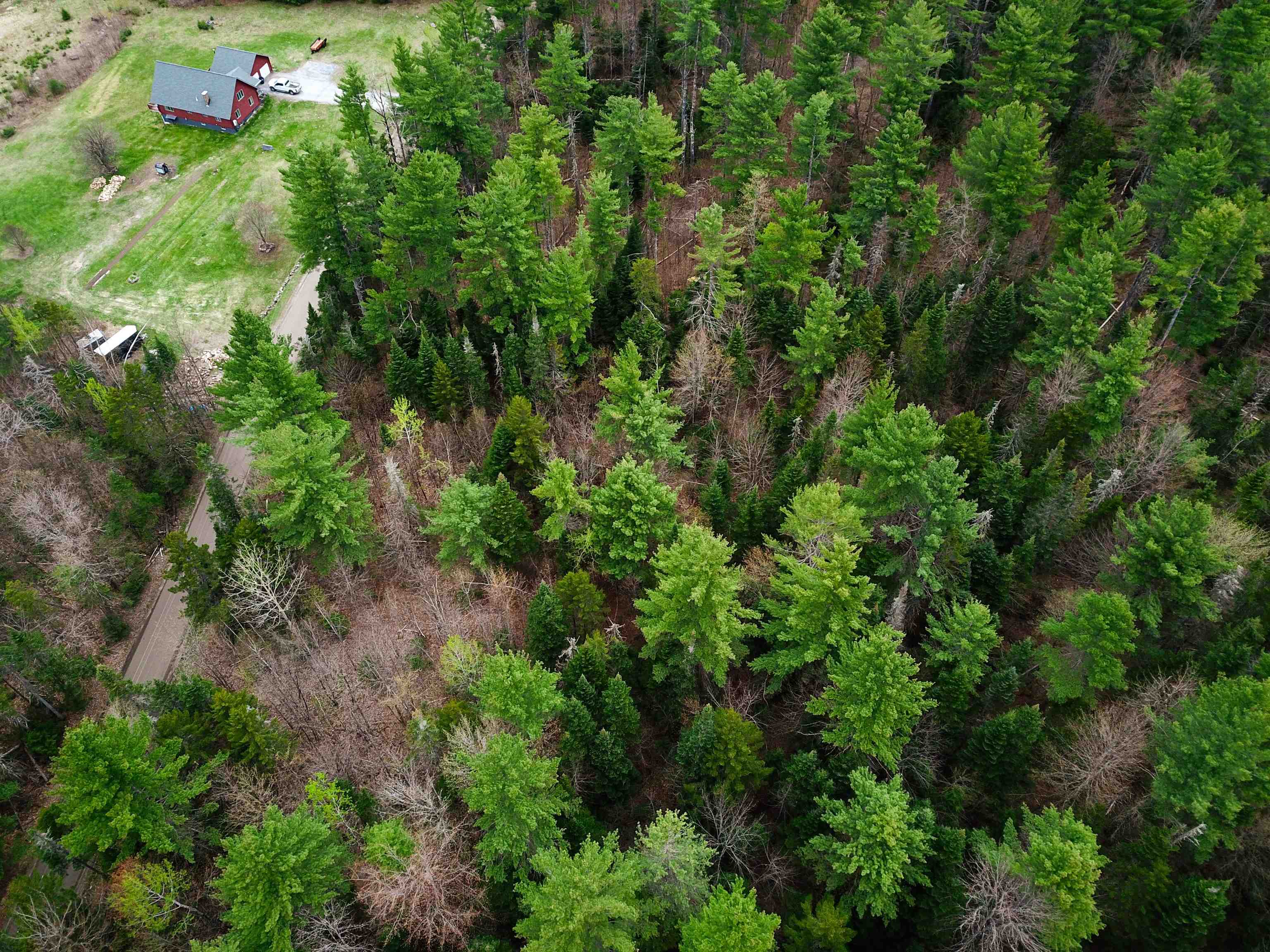 280 Guyette Road Plainfield, VT 05667 - Photo 38 of 38 Gallery Image 38
