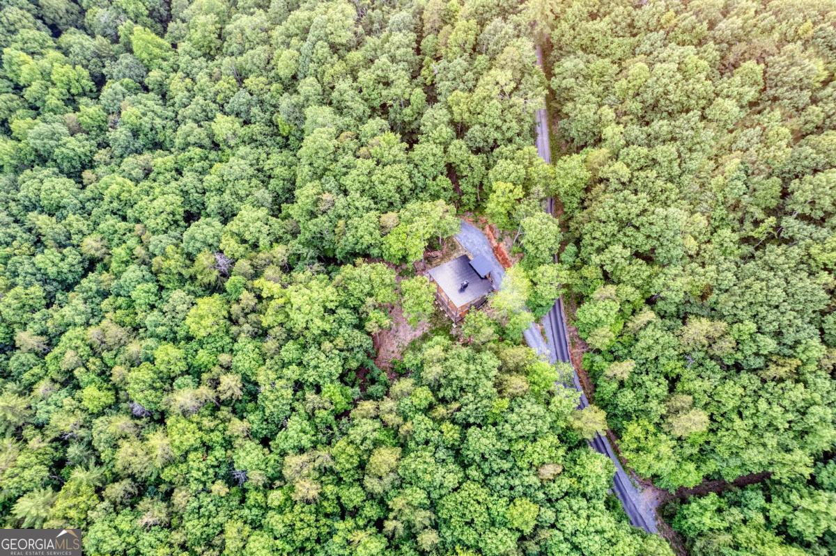 281 Raintree Bend Blue Ridge, GA 30513 - Photo 53 of 56 a view of a lush green field