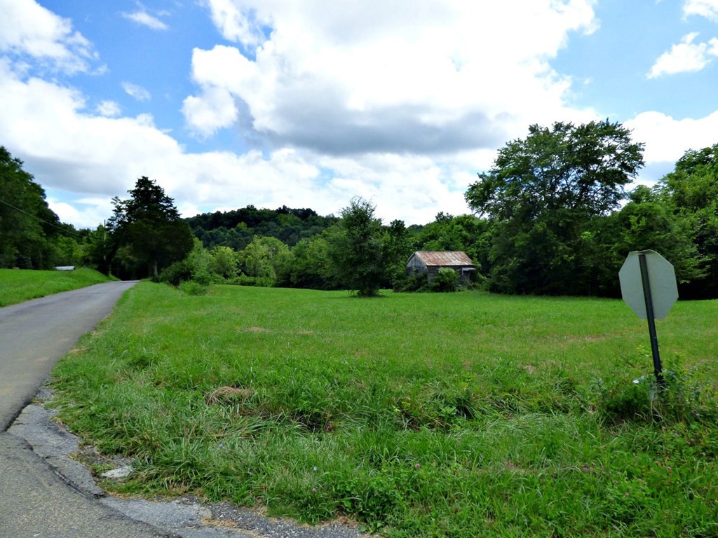 1 Cody Road White Pine, TN 37890 - Photo 2 of 5 Gallery Image 2