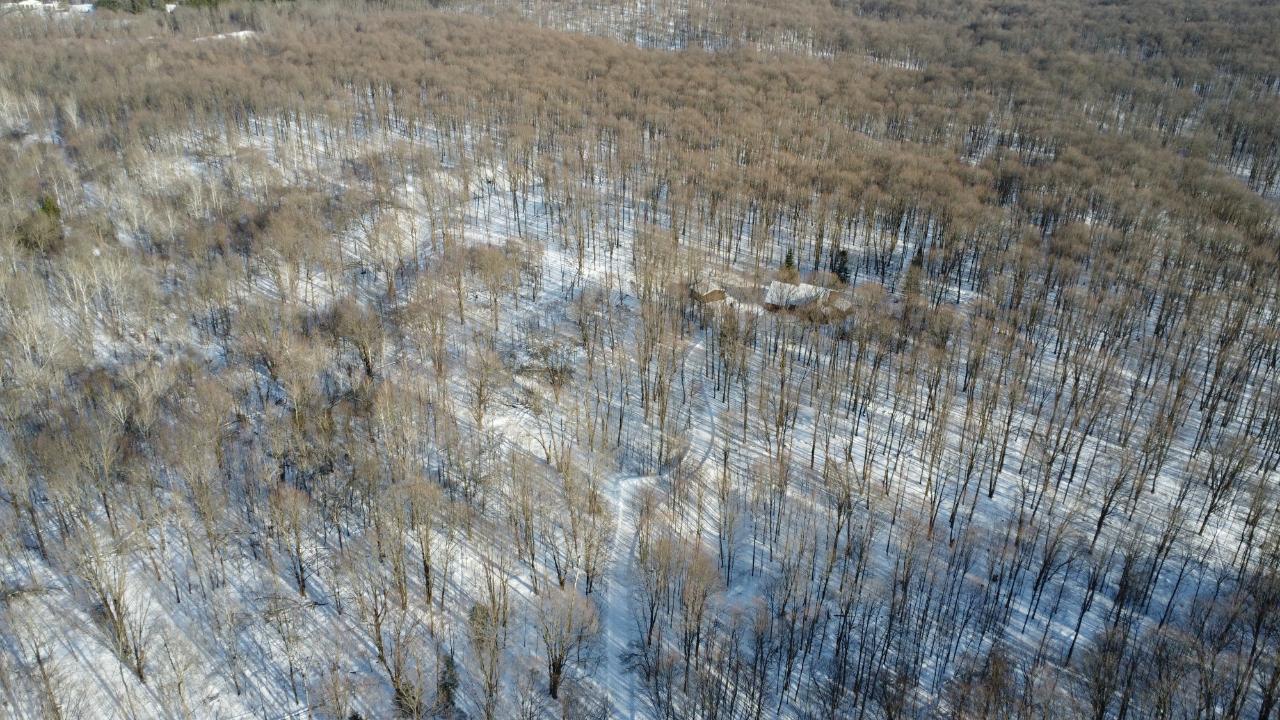 N2447 Maple Road Antigo, WI 54409 - Photo 7 of 44 Gallery Image 7