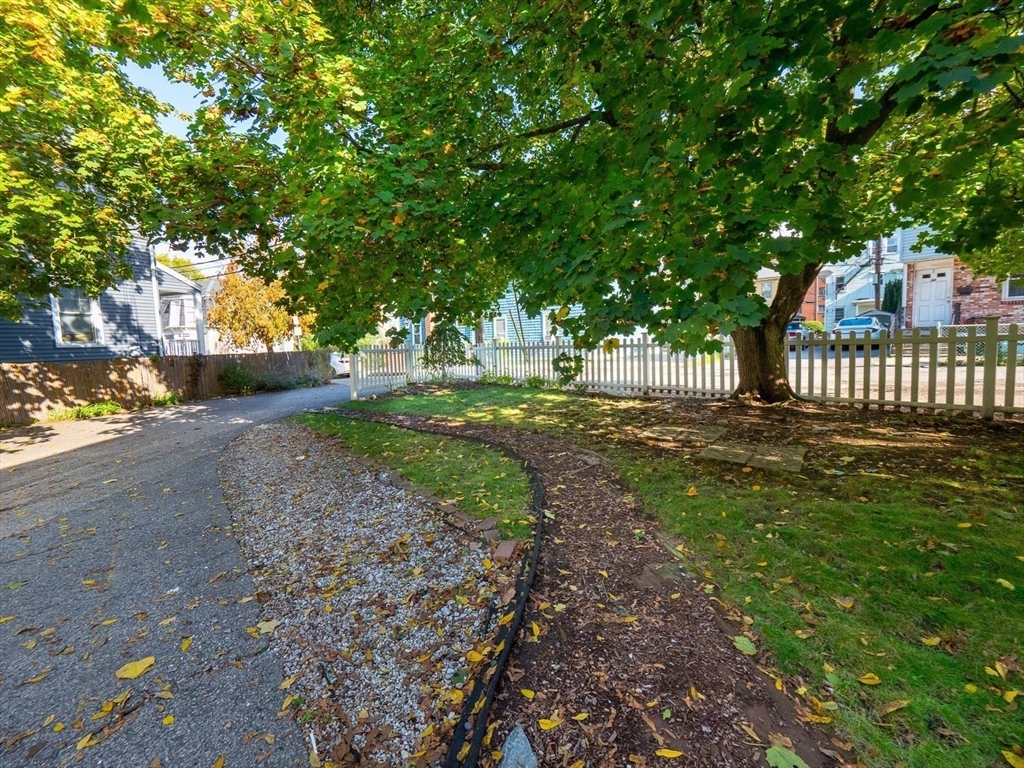 12 Adella Place Boston, MA 02134 - Photo 36 of 36 a view of a yard with plants and large trees