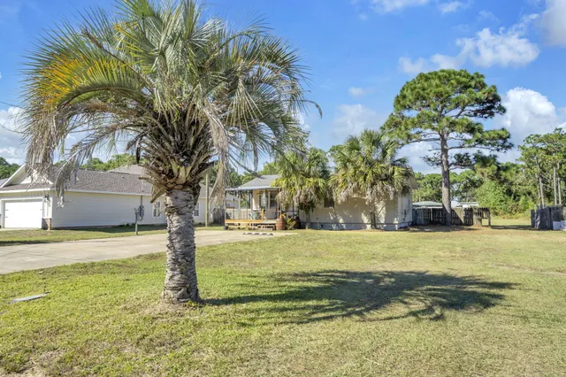 a view of a yard with palm trees