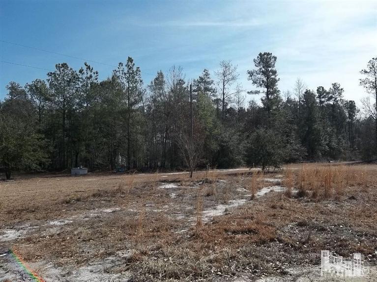 2156 Woodyard Road Riegelwood, NC 28456 - Photo 1 of 3 Primary Photo
