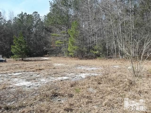 2156 Woodyard Road Riegelwood, NC 28456 - Photo 3 of 3 Additional Photo