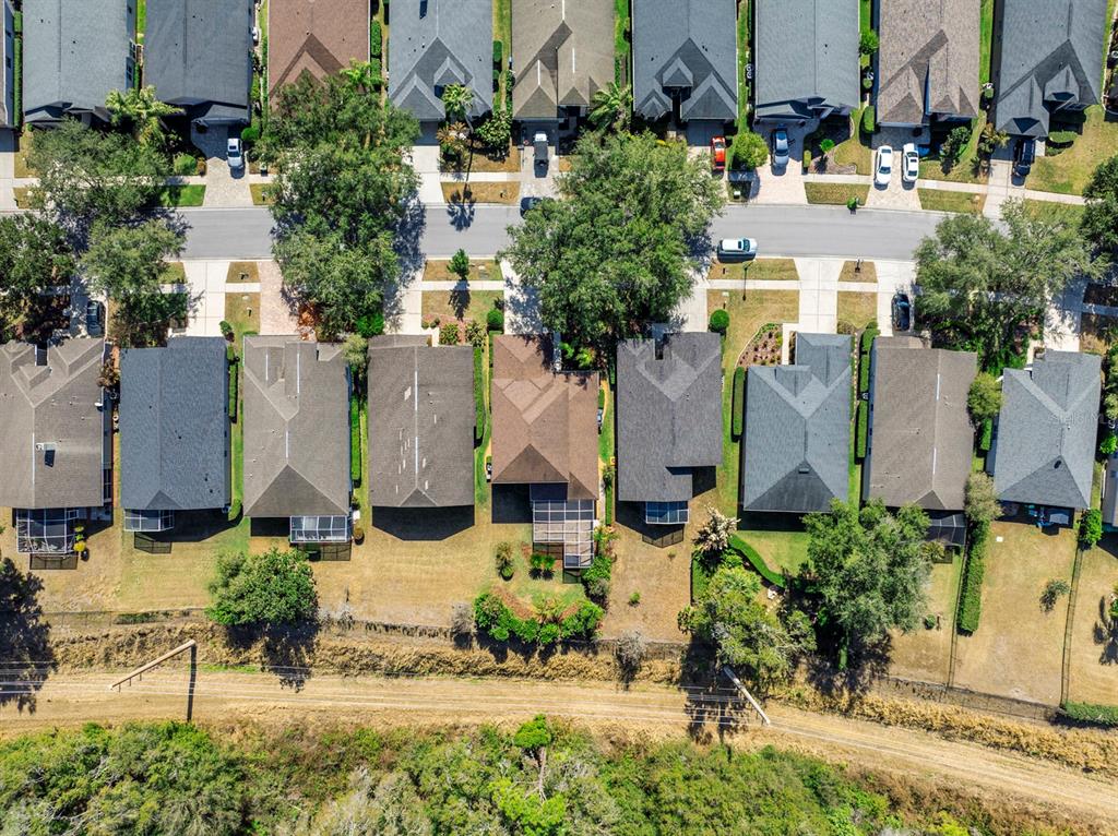 3231 Stonebridge Trail Valrico, FL 33596 - Photo 40 of 51