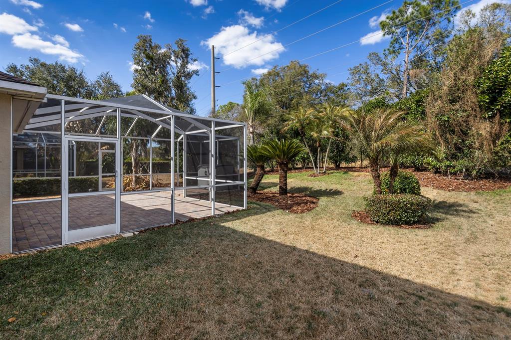 3231 Stonebridge Trail Valrico, FL 33596 - Photo 41 of 56