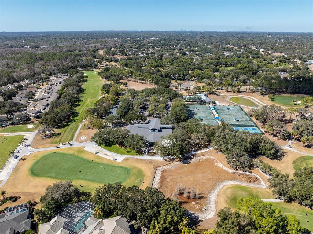 3231 Stonebridge Trail Valrico, FL 33596 - Photo 45 of 51