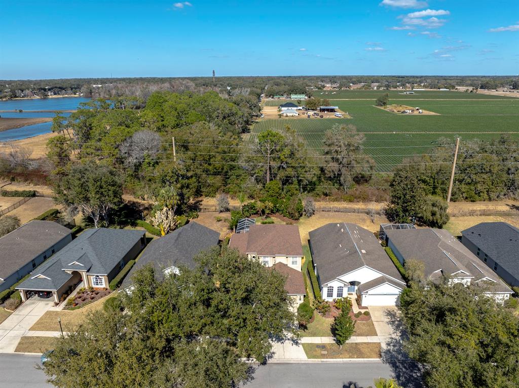 3231 Stonebridge Trail Valrico, FL 33596 - Photo 46 of 56