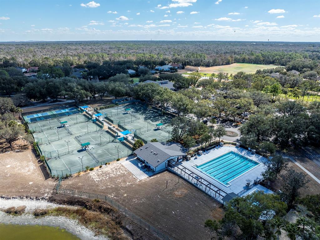 3231 Stonebridge Trail Valrico, FL 33596 - Photo 46 of 51