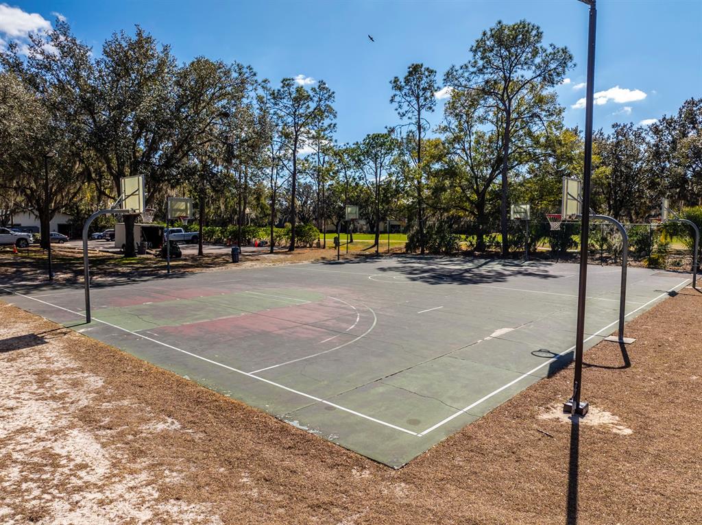 3231 Stonebridge Trail Valrico, FL 33596 - Photo 50 of 51