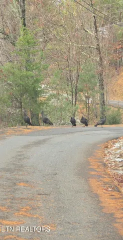 $140,000 | Lot 4 Glenview Way, Sevierville, TN 37862