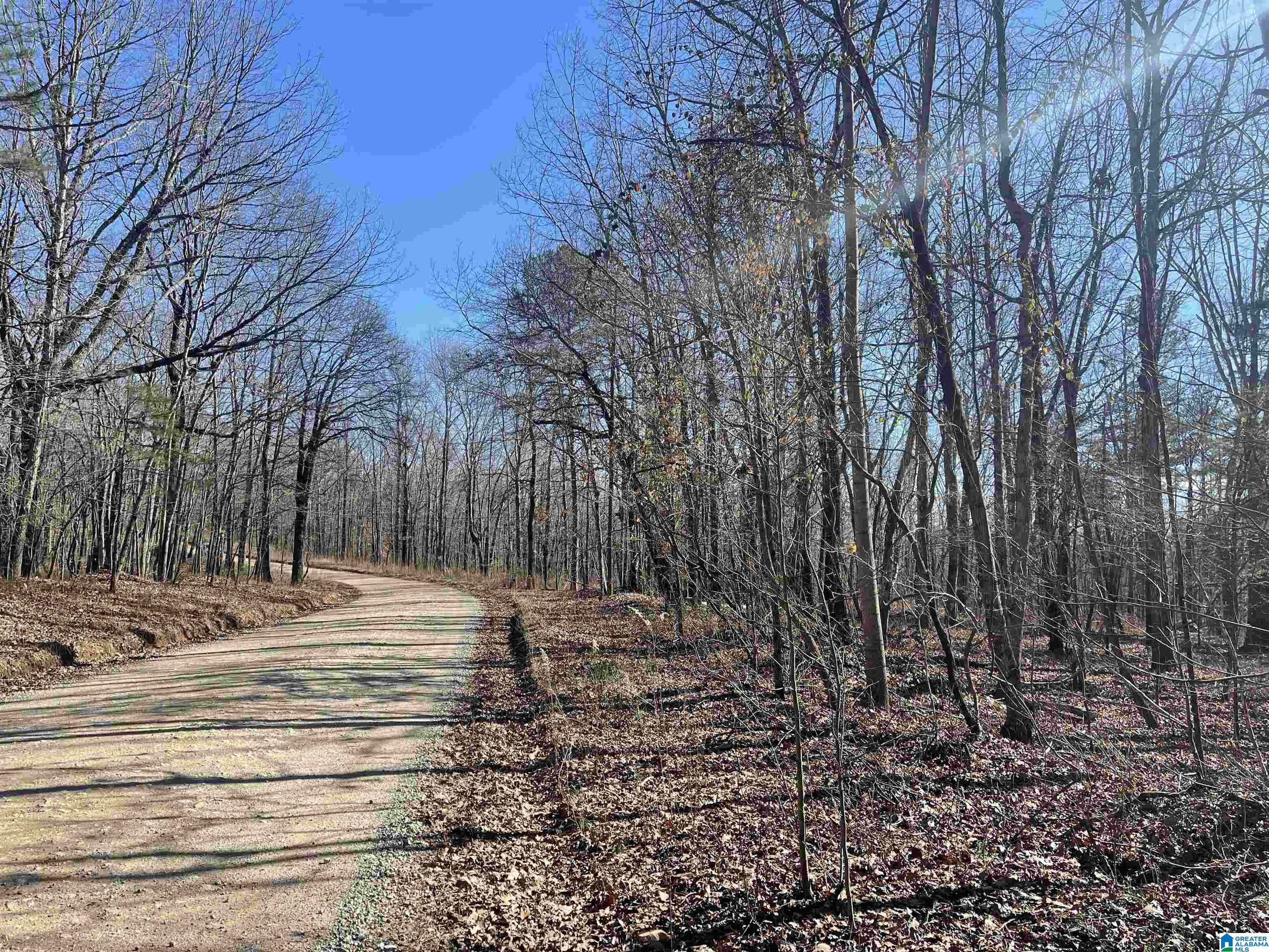 0 County Road 852, Unit 4 Ranburne, AL 36273 - Photo 8 of 19