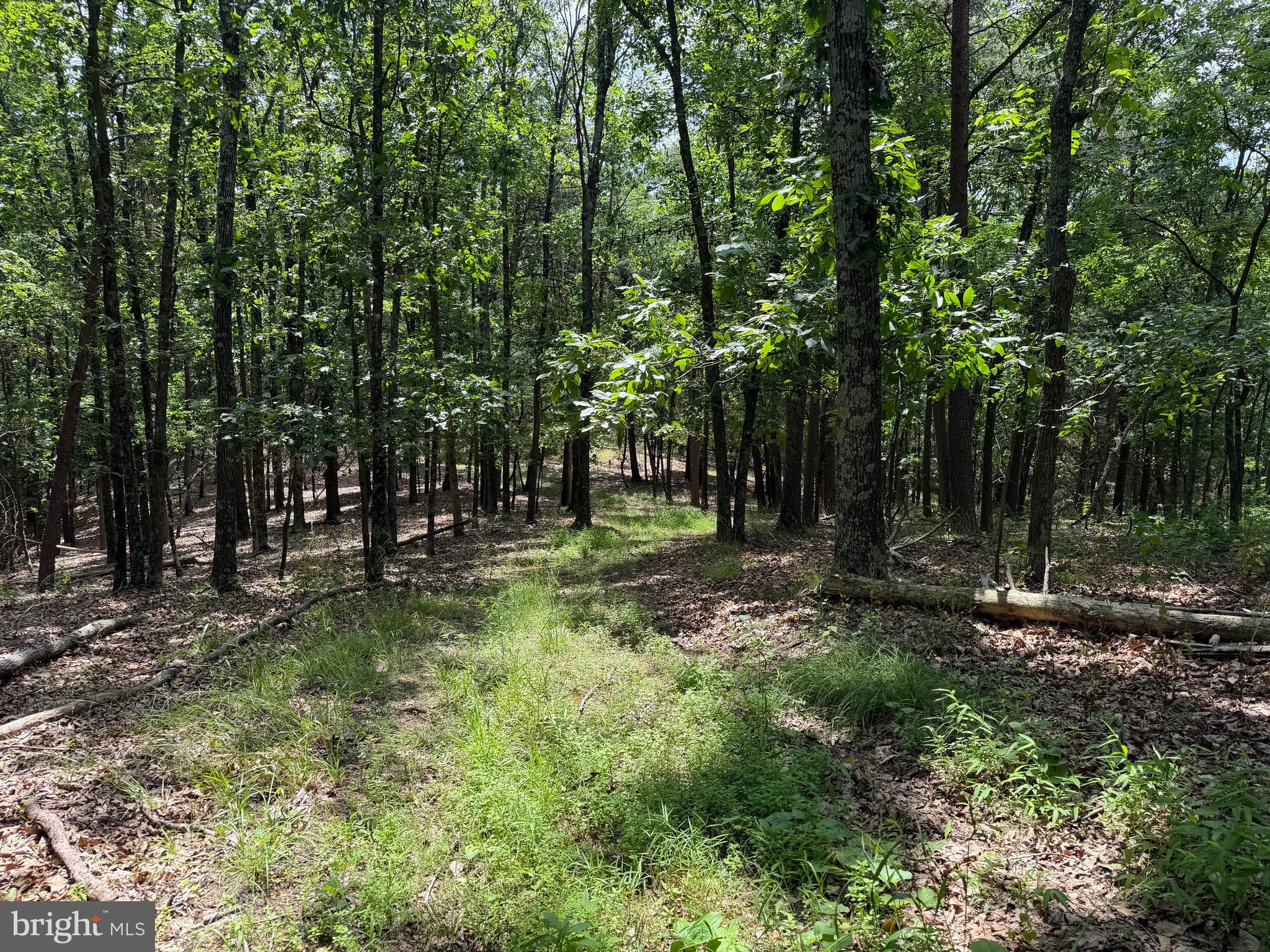 0 Headsville Road Keyser, WV 26726 - Photo 9 of 24