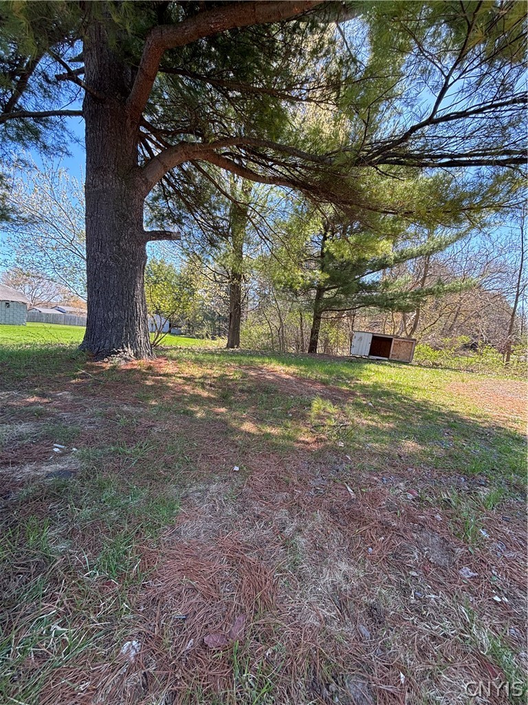 26216 State Rte 3, Unit 3 Le Ray, NY 13601 - Photo 17 of 18 Yard