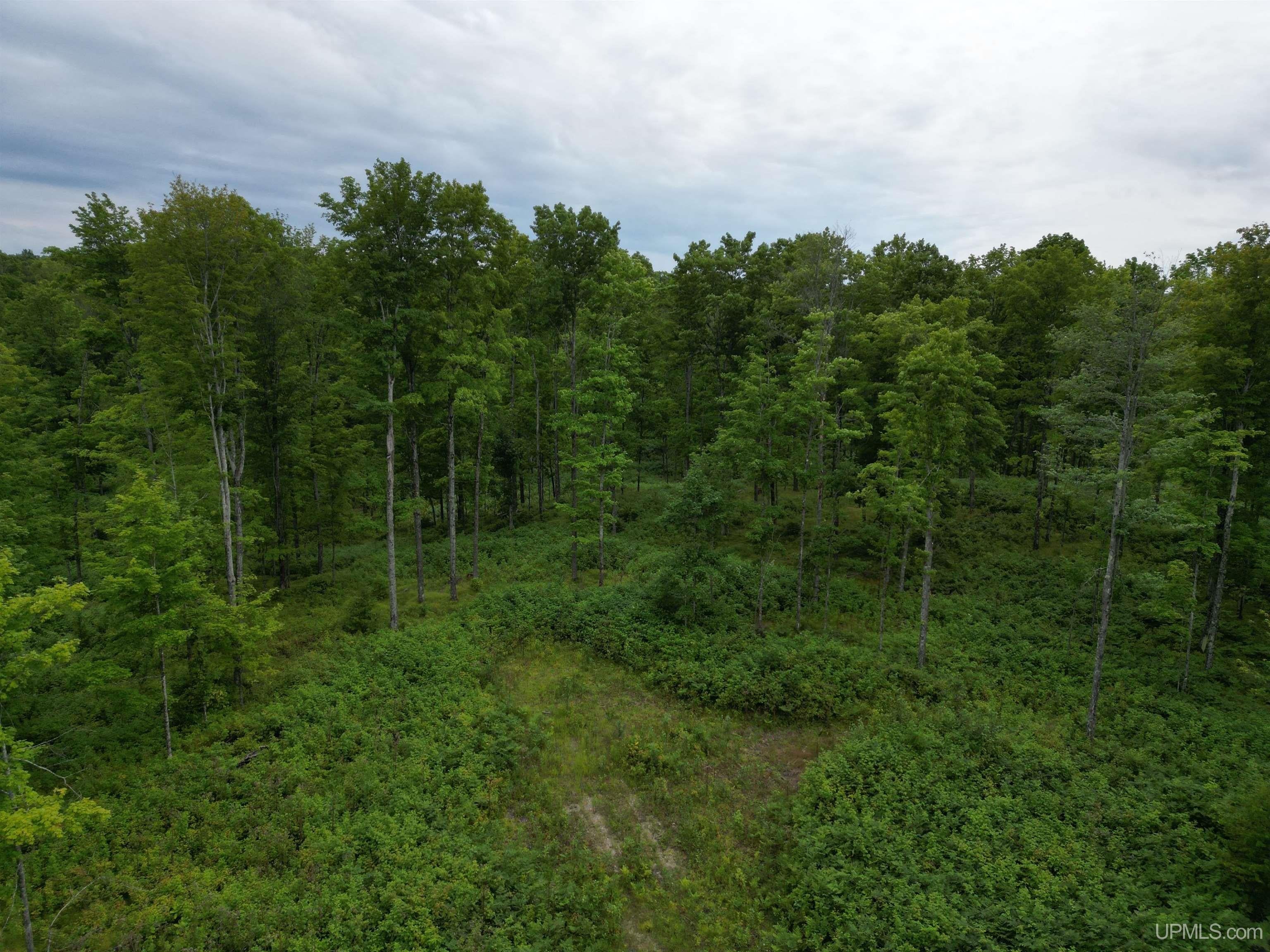 Tbd Camp Five Road Crystal Falls, MI 49920 - Photo 29 of 54 Gallery Image 29
