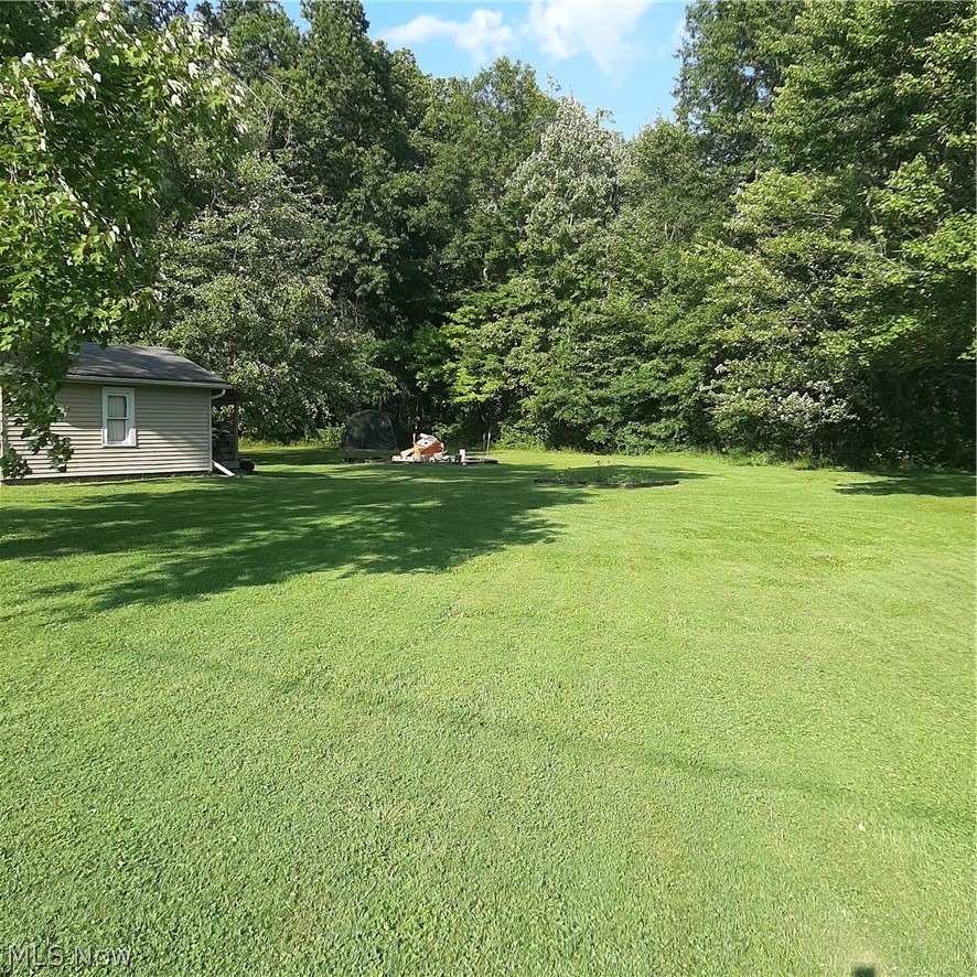 8599 Bryron Lin Road Mineral Ridge, OH 44440 - Photo 5 of 31 Large, nearly 1.5 acre lot