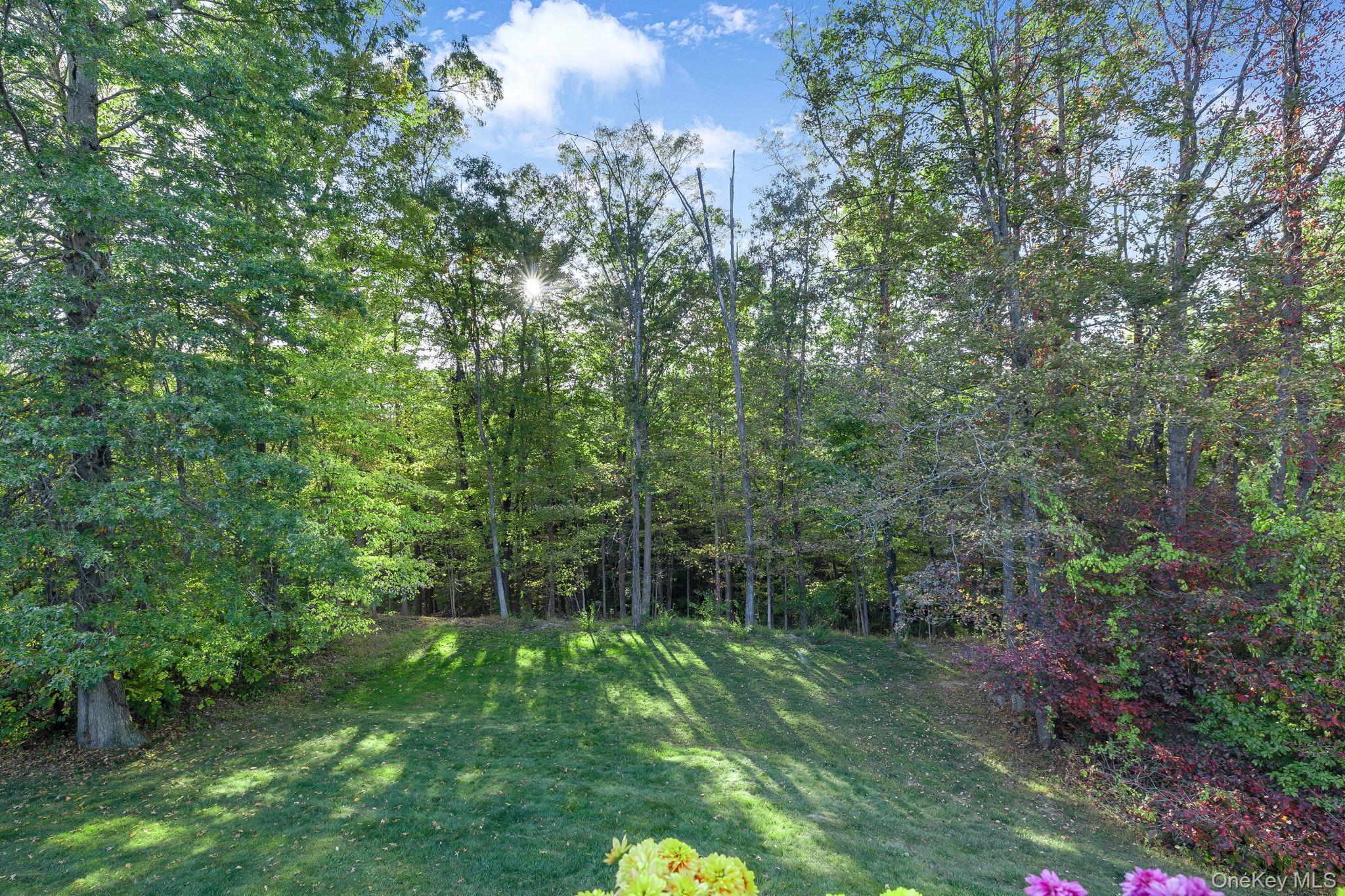 58 Red Maple Way New Windsor, NY 12553 - Photo 35 of 35