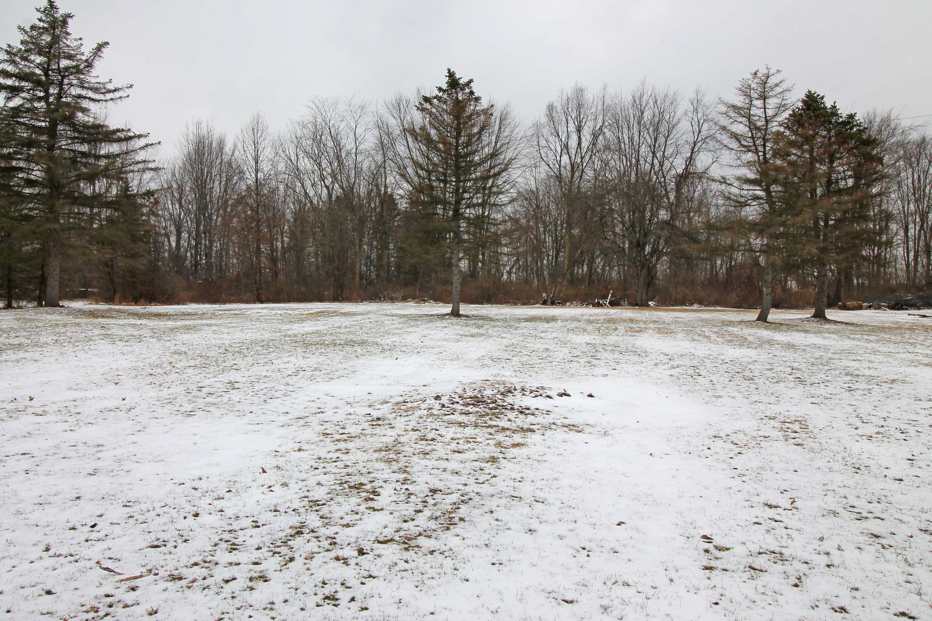 2036 Hyatts Road Delaware, OH 43015 - Photo 37 of 47 Gallery Image 37
