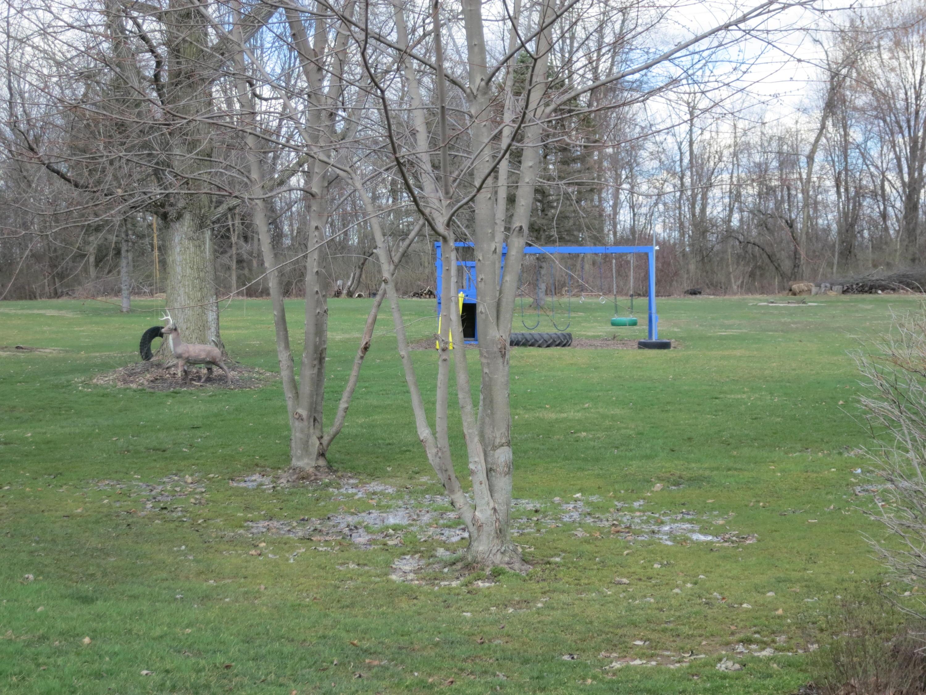 2036 Hyatts Road Delaware, OH 43015 - Photo 41 of 47 Gallery Image 41