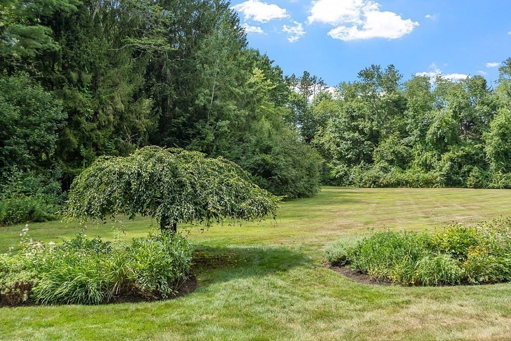 36 Carlisle Road Acton, MA 01720 - Photo 6 of 37 Gallery Image 6