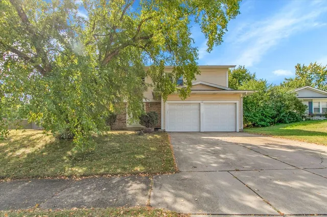 a view of a yard with plants and trees