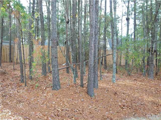 1003 Delham Road Knightdale, NC 27545 - Photo 10 of 18 Private backyard