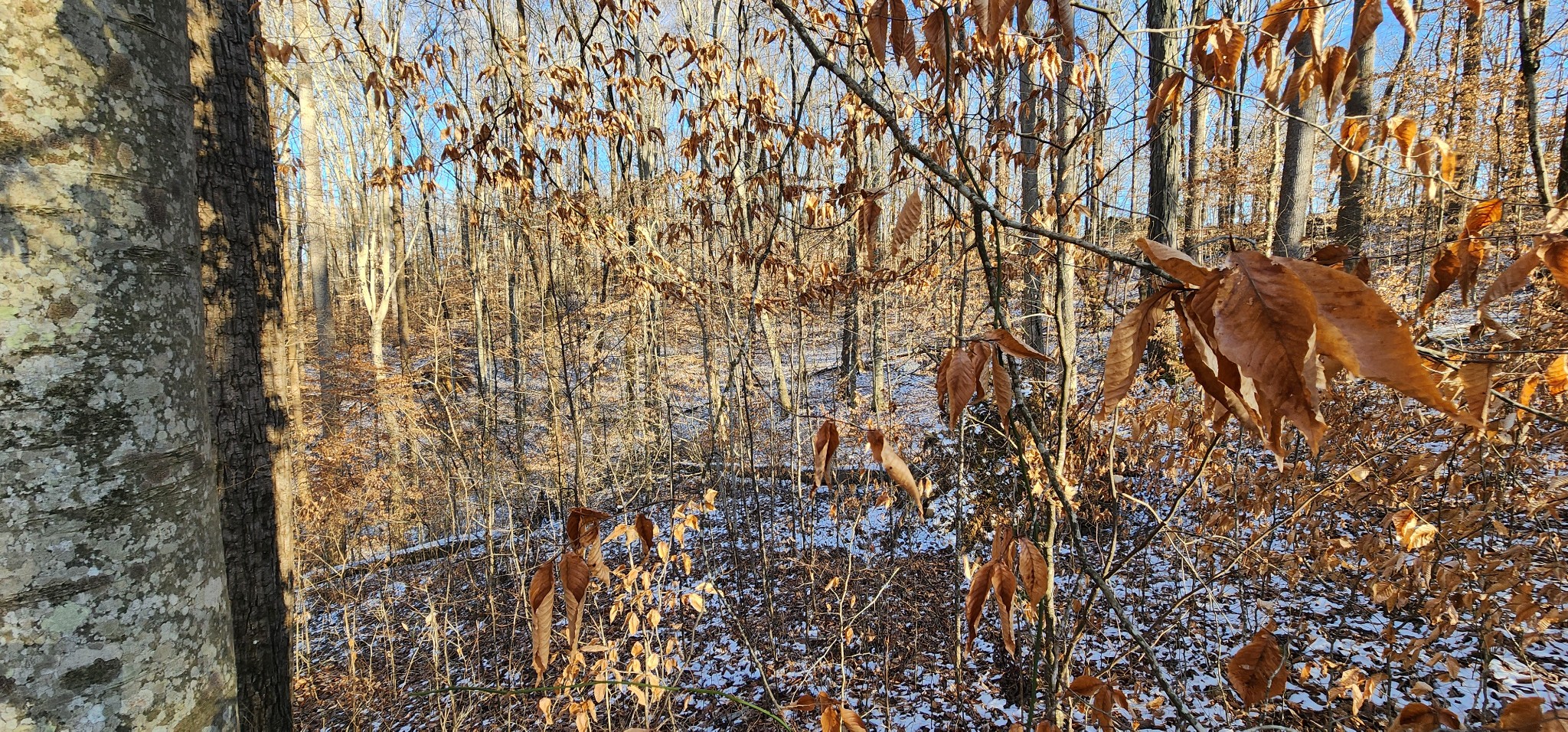 0 Crestview Drive Sparta, TN 38583 - Photo 3 of 10