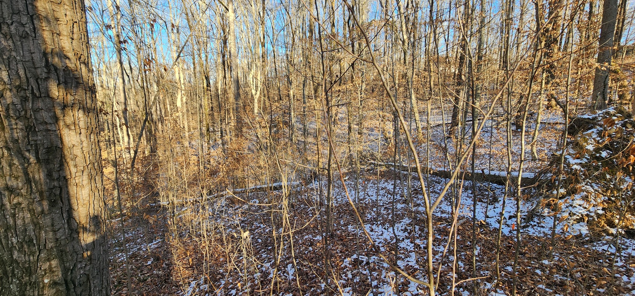 0 Crestview Drive Sparta, TN 38583 - Photo 4 of 10