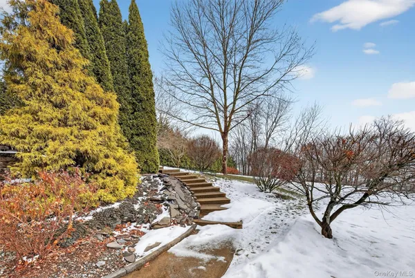 a view of a garden with plants
