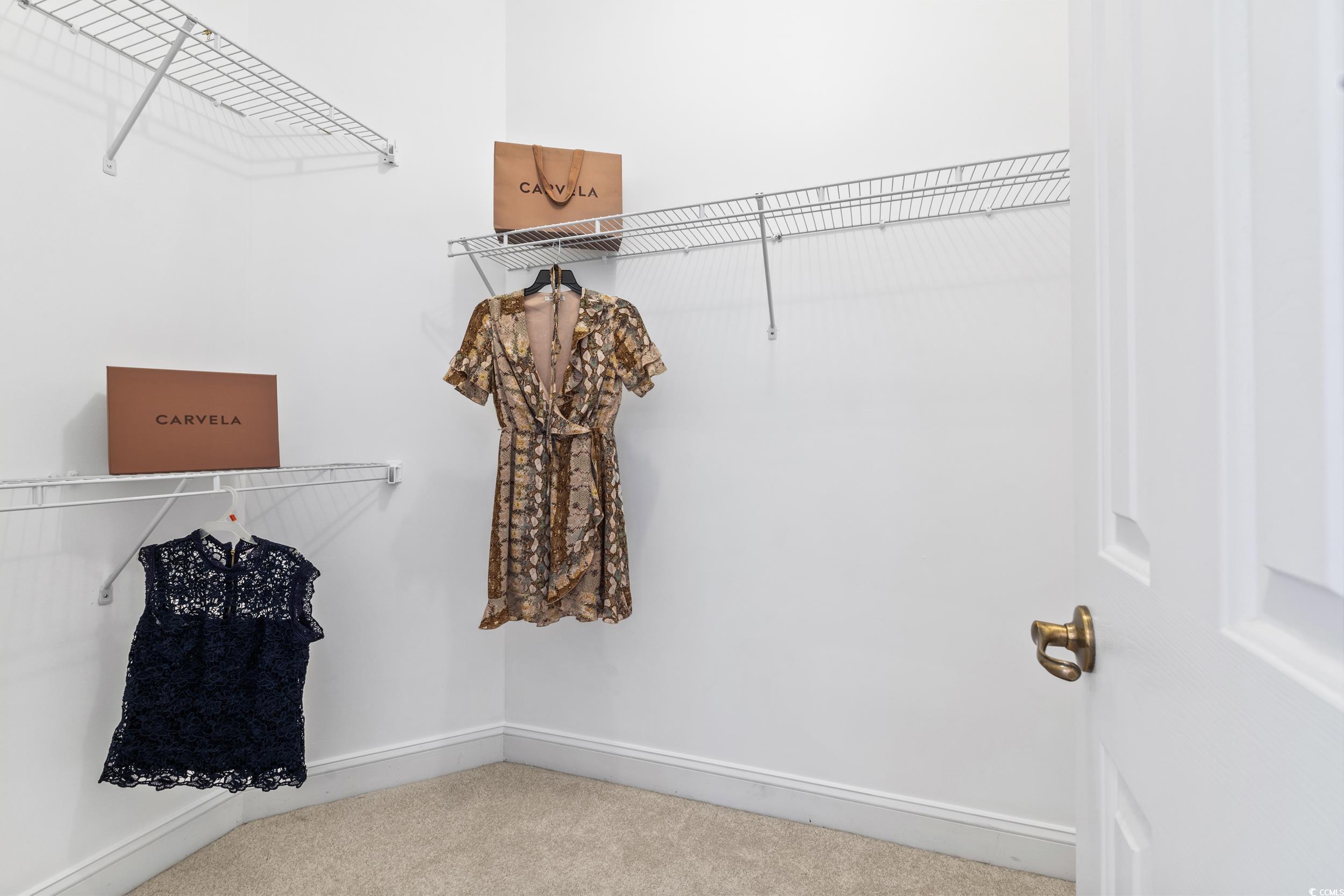 673 Botany Loop, Unit 673 Murrells Inlet, SC 29576 - Photo 31 of 39 Walk in closet featuring carpet floors