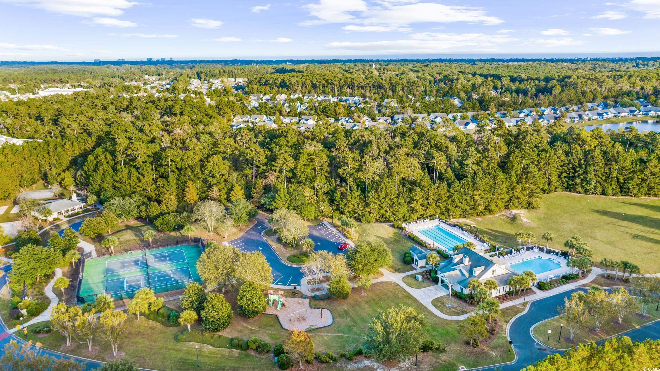673 Botany Loop, Unit 673 Murrells Inlet, SC 29576 - Photo 35 of 39 Bird's eye view