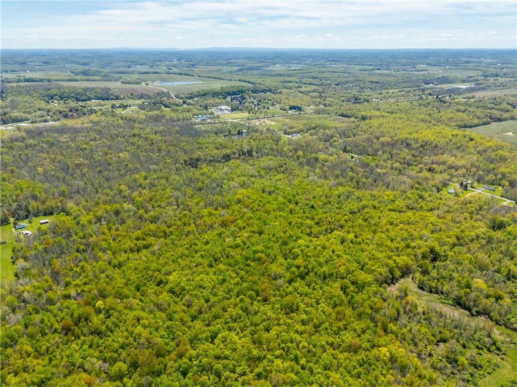 0 Pratt Road Webster, NY 14580 - Photo 8 of 15 Hunting & recreation area