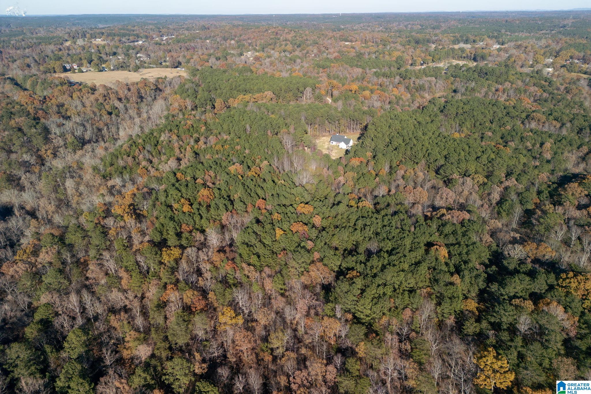 1575 Steve Crowder Road, Unit 1 Bessemer, AL 35023 - Photo 16 of 19 Gallery Image 16