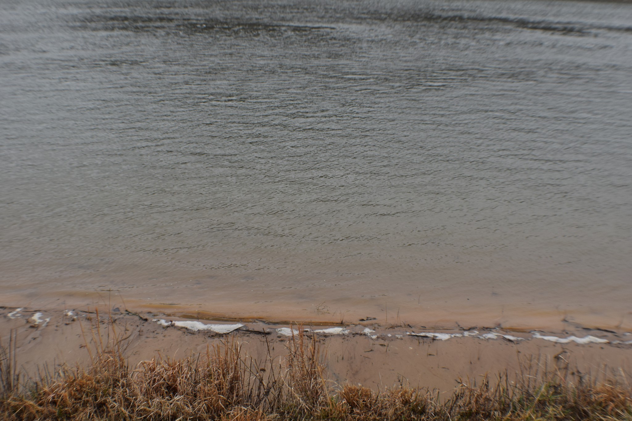 1947 Hardin Bottom Road Clifton, TN 38425 - Photo 11 of 26 a view of a lake view