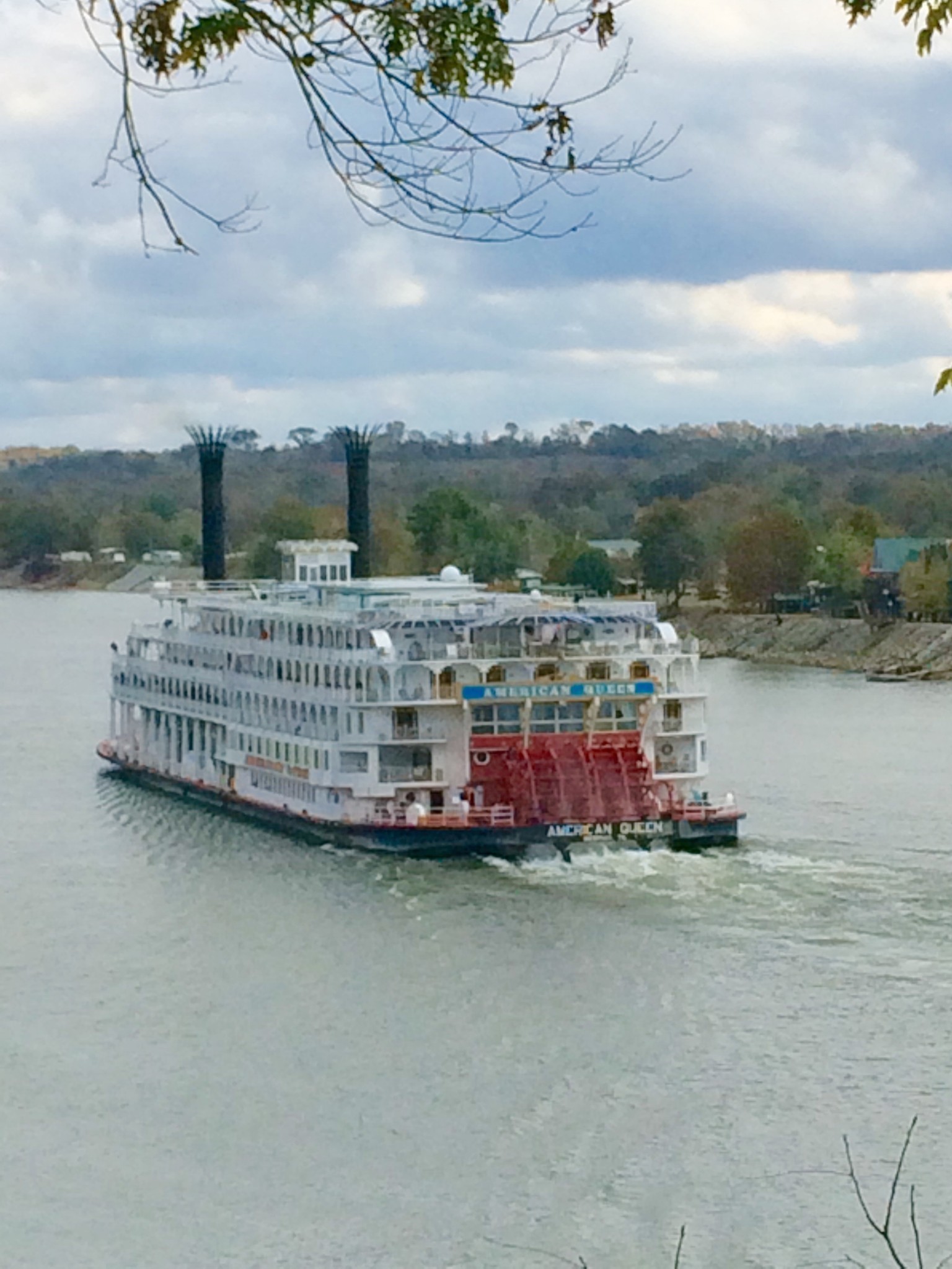 1947 Hardin Bottom Road Clifton, TN 38425 - Photo 12 of 26 a view of a city from a terrace