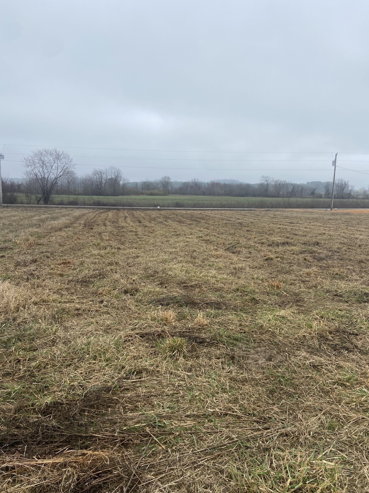 1947 Hardin Bottom Road Clifton, TN 38425 - Photo 13 of 26 a view of an ocean