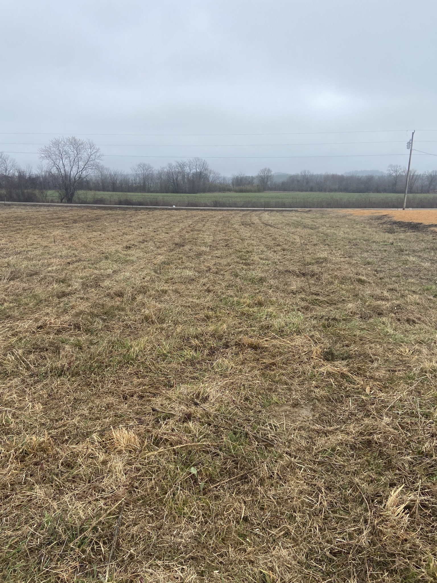 1947 Hardin Bottom Road Clifton, TN 38425 - Photo 14 of 26 a view of an ocean