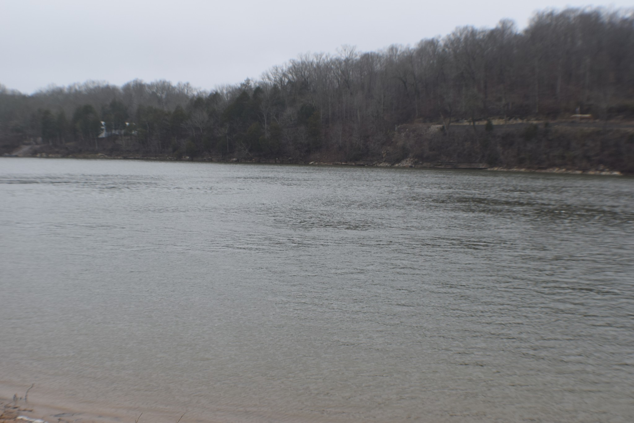 1947 Hardin Bottom Road Clifton, TN 38425 - Photo 5 of 26