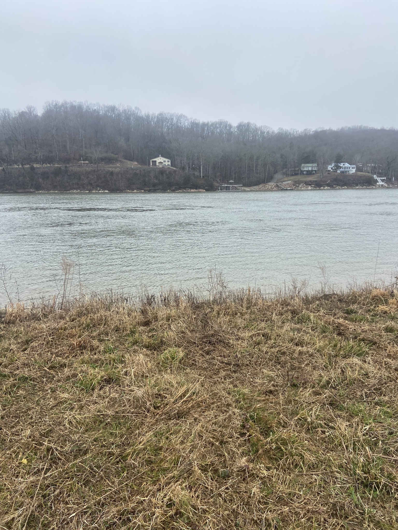 1947 Hardin Bottom Road Clifton, TN 38425 - Photo 6 of 26 a view of lake