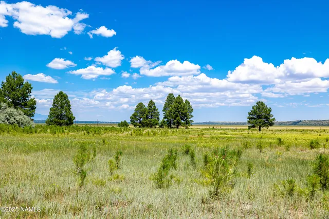 a view of a lake with a yard