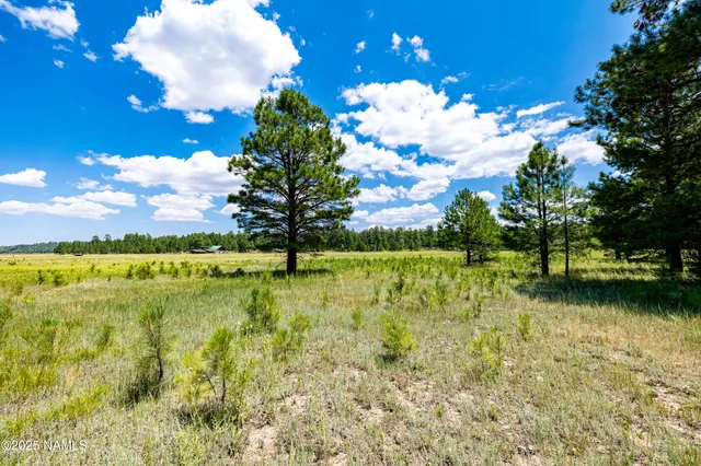 a view of a lake view