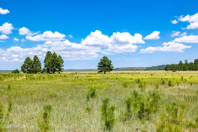 a view of swimming pool with outdoor seating and green space
