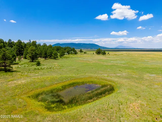 a view of an ocean from a yard