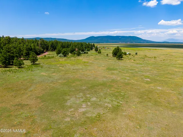 a view of a swimming pool and a yard