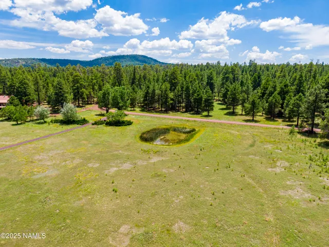 a view of swimming pool and outdoor seating