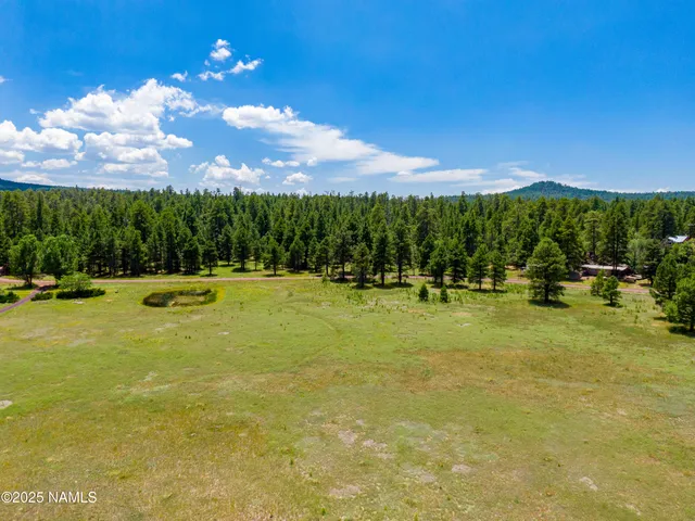 a view of a yard with an ocean view