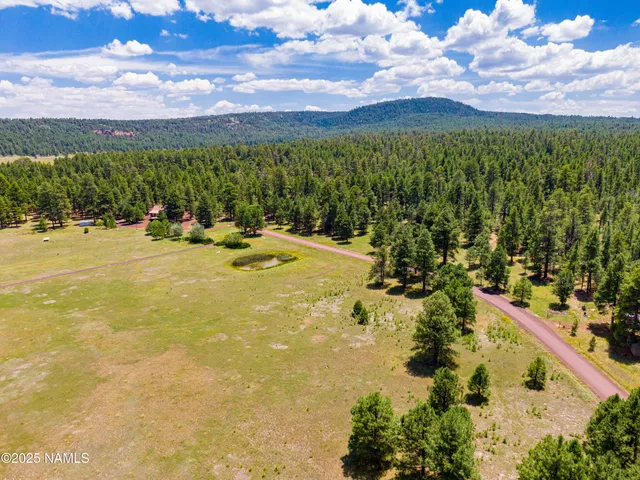 a view of a lake with a mountain