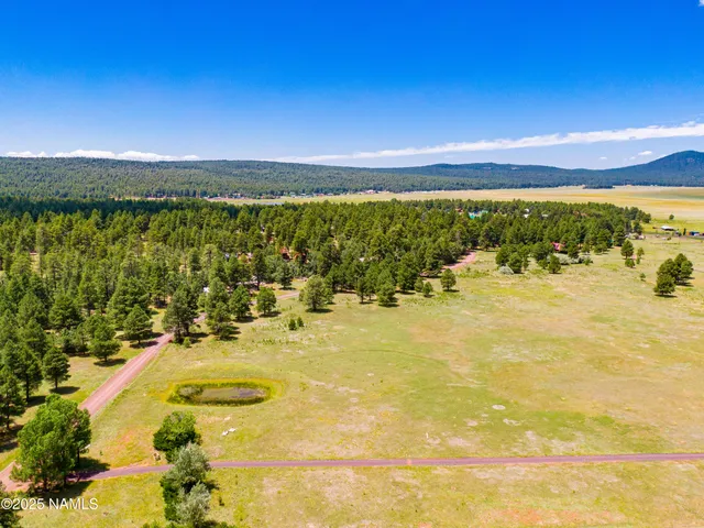 a view of an ocean beach