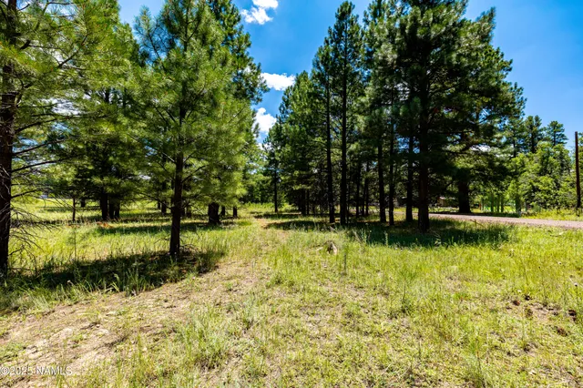 a view of swimming pool with a patio