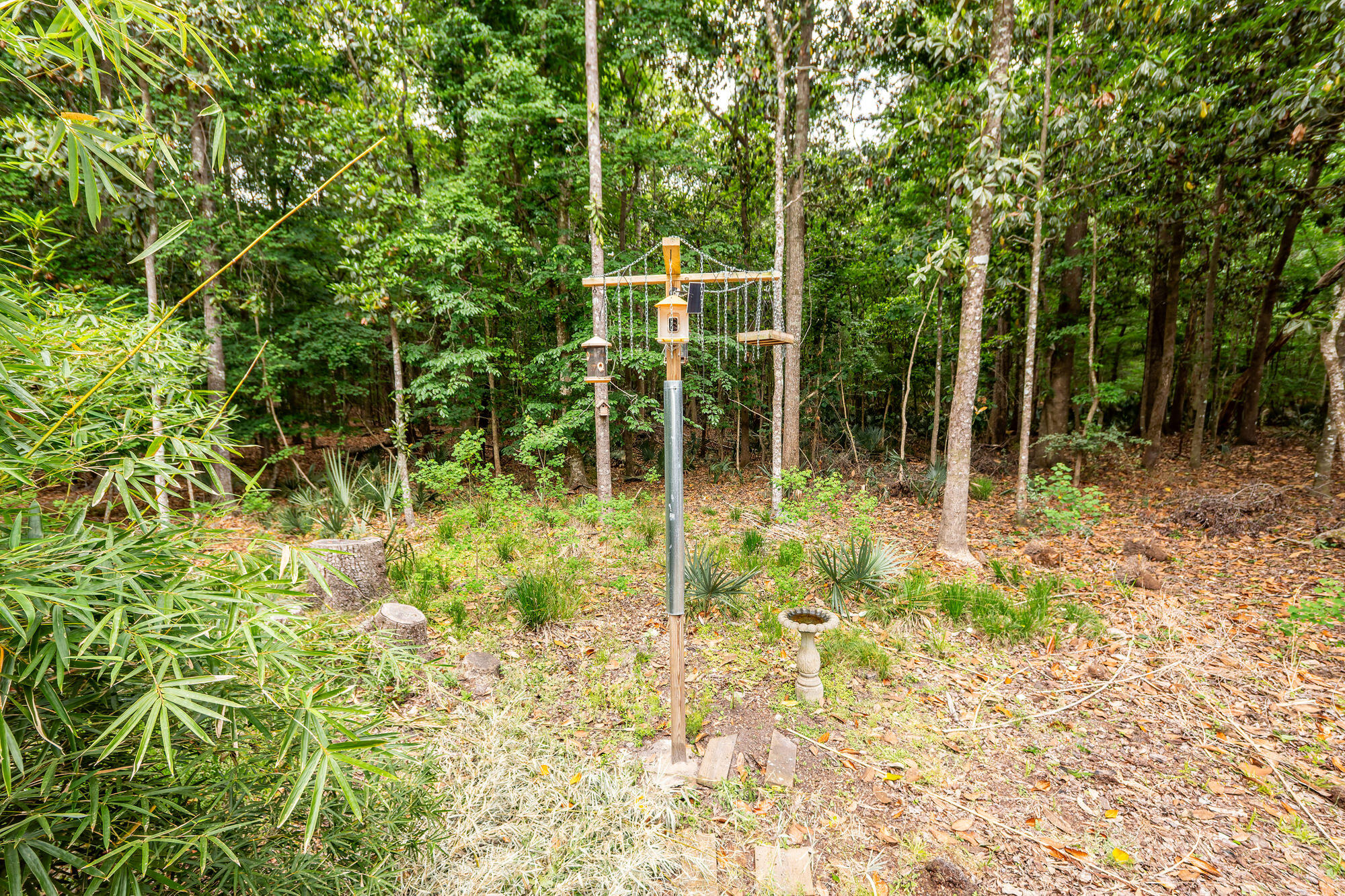 3429 Berryhill Road Johns Island, SC 29455 - Photo 43 of 58 46